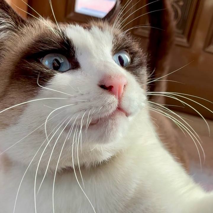 5a757f88 11ab 4174 af88 c1a597982bf0 1766025378194