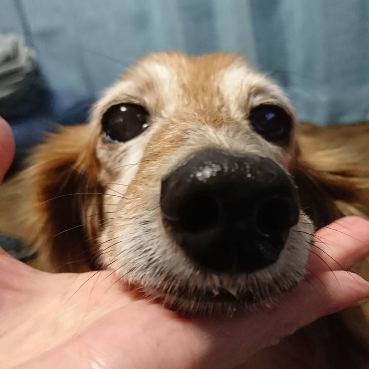 5a759b37 38b6 4049 af89 241dbc713ff0 1514626828991