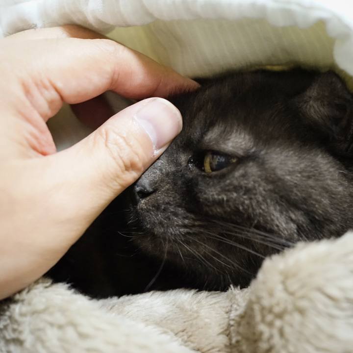 5a762ea8 792b 4682 9fb6 8c42ac384c53 1575648885890