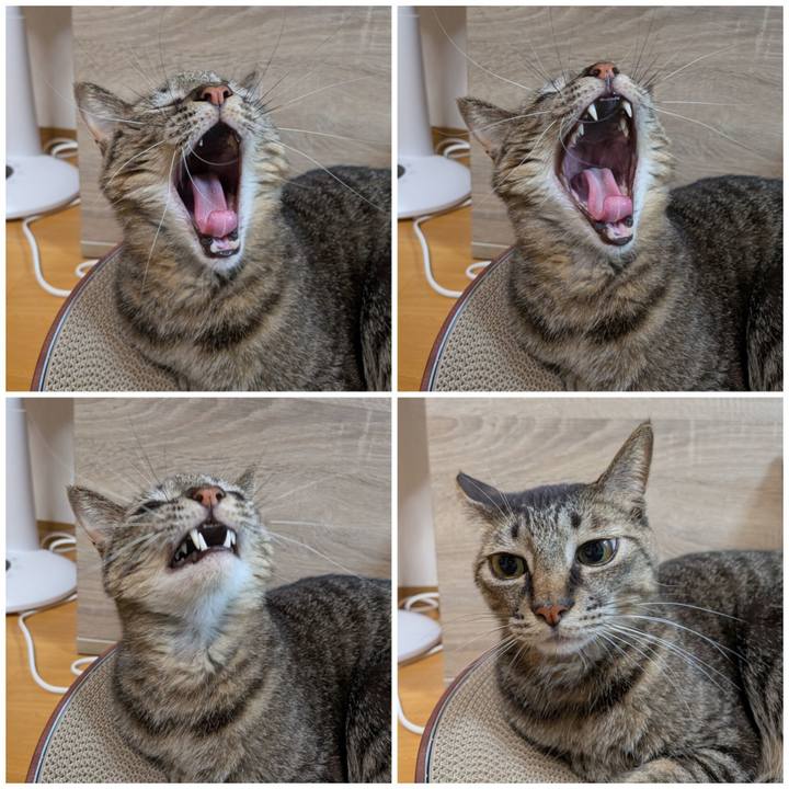5a763b3b 330f 4b0d 8b04 58542bf0fd7e 1781826154848