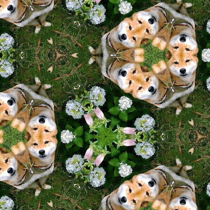 5a7661c3 3abd 4910 8d43 4f167db2745b 1527728546588