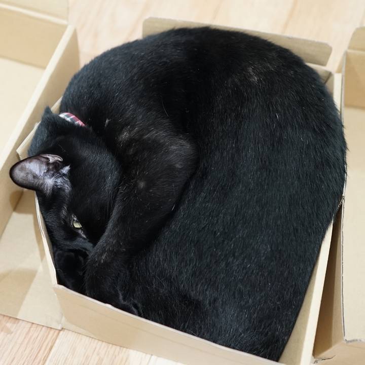 5a7681ee 92b8 4ba6 946b 7d912044e99c 1561506725775