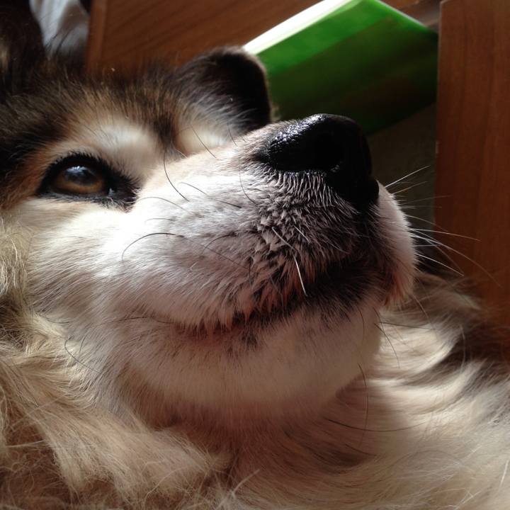 5a768c16 147b 4ce4 9d53 5a57921e04fe 1612012037712