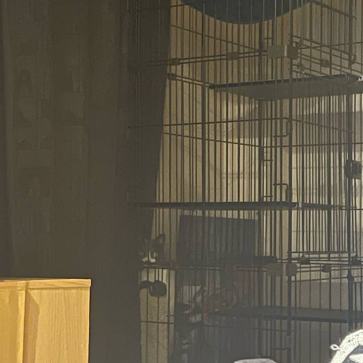 5a76997f 1078 4867 b6a9 e301ba19f2cf 1679150055894