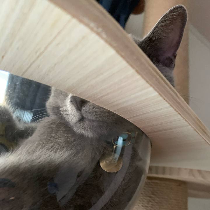 5a76a468 334c 4dd0 aaf8 e99d0af6522f 1601242683812