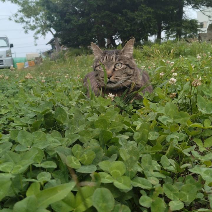 5a76c641 040c 4db6 9e5e 466b139fe811 1688719487393