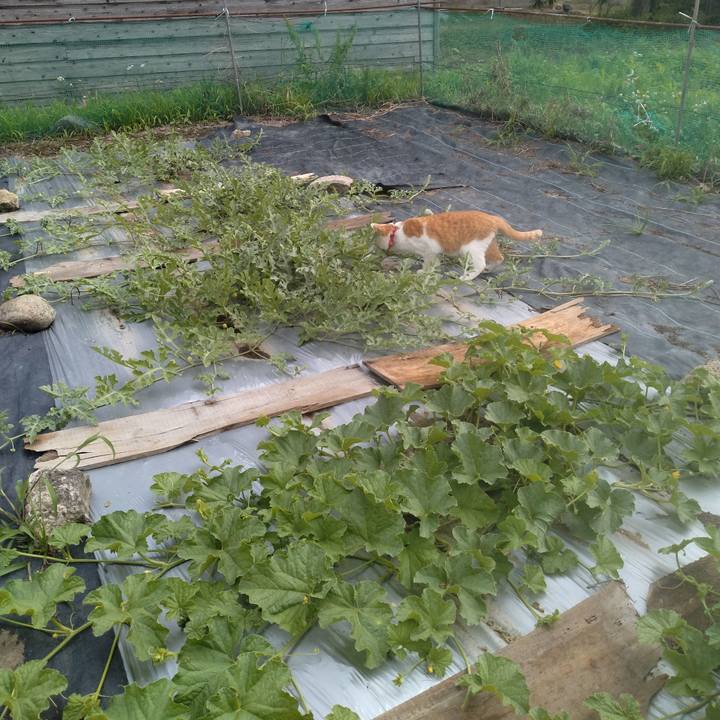 5a76c76c 4105 4a12 b31f 29c300452e20 1751360178577