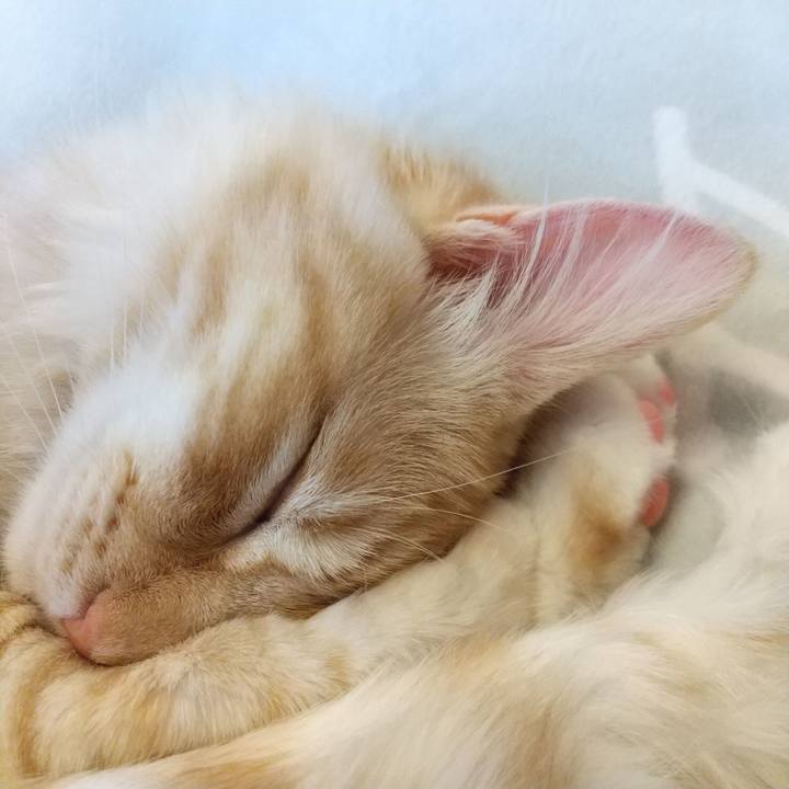 5a76cfc4 92c8 451b 8b2e 64913142e518 1617601091178