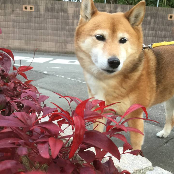 5a76d062 a4df 41e3 b829 6b9bf5d76bf4 1549963669251