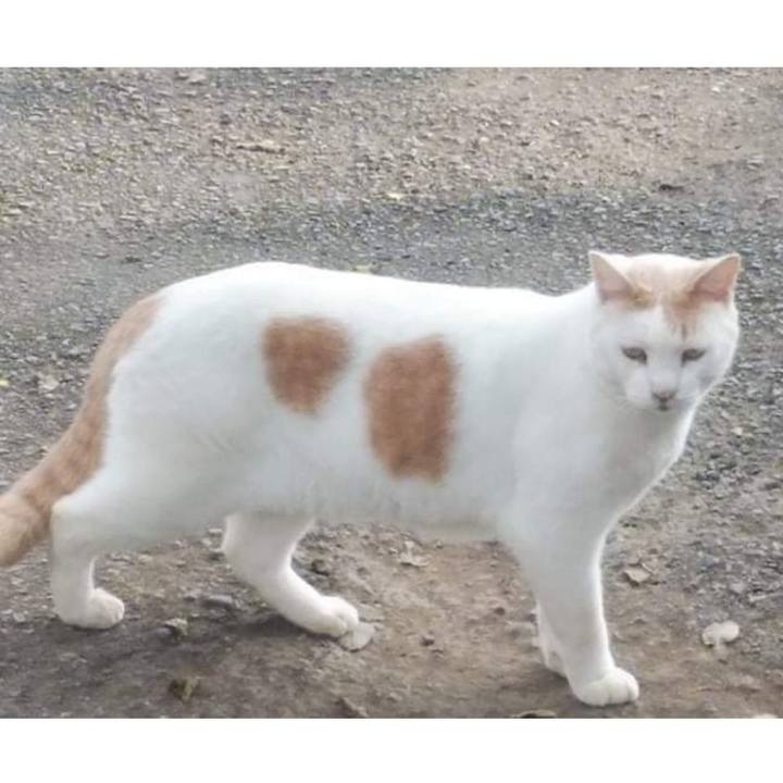 5a76d74e d086 457f 8742 c44516b086af 1635843403029