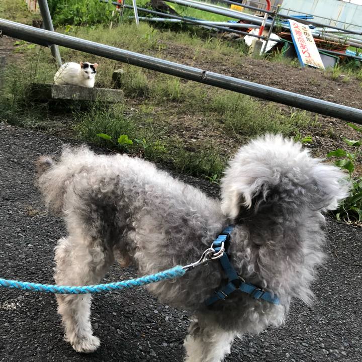 5a774a84 164d 44f3 8325 459df131cfe3 1621772640352