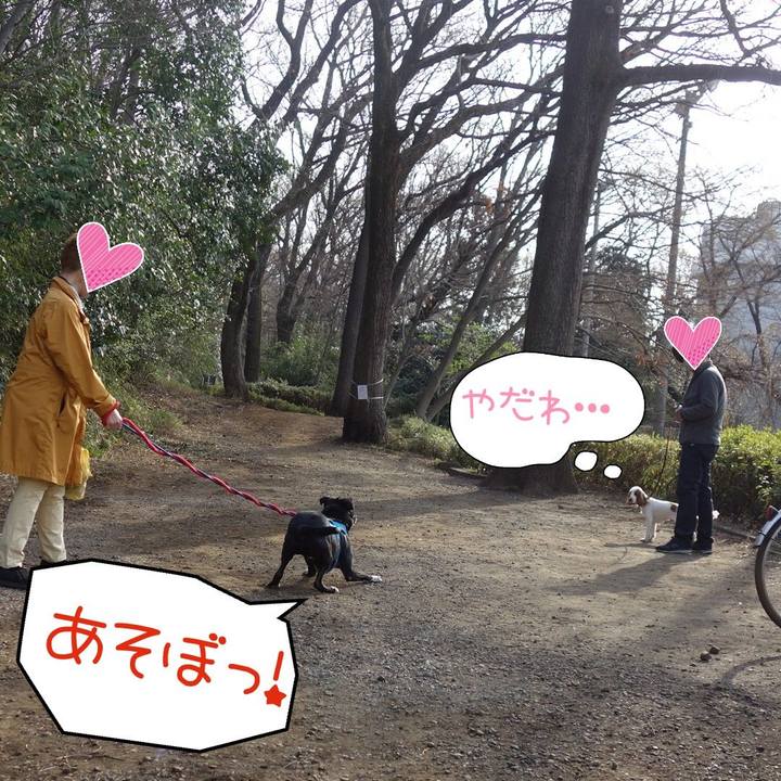 5a776e25 70e2 466e b2dd 632bc53fcbef 1616114192971