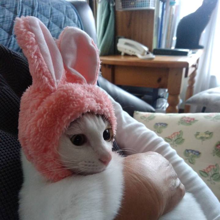 5a7772db 6449 4a9d a669 75ddeb8e12d9 1663906224336