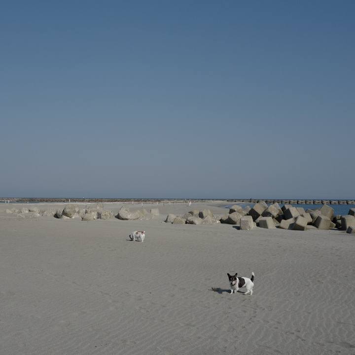 5a777481 acba 4075 85fd 79387273acde 1557548706110