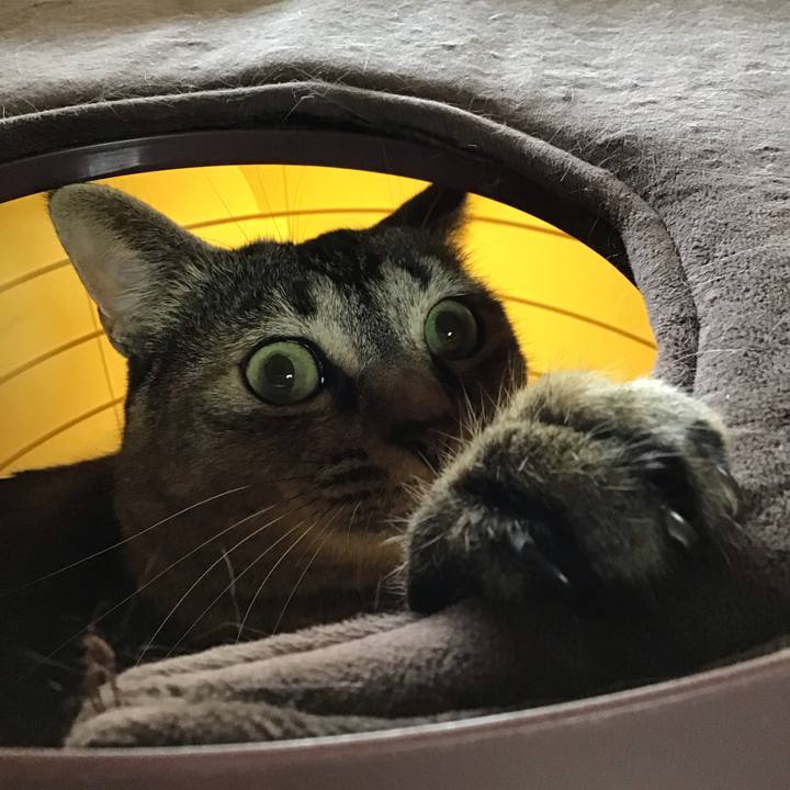 5a77955b bf1f 4ebc b615 b5818a7d8fdd 1683195311452