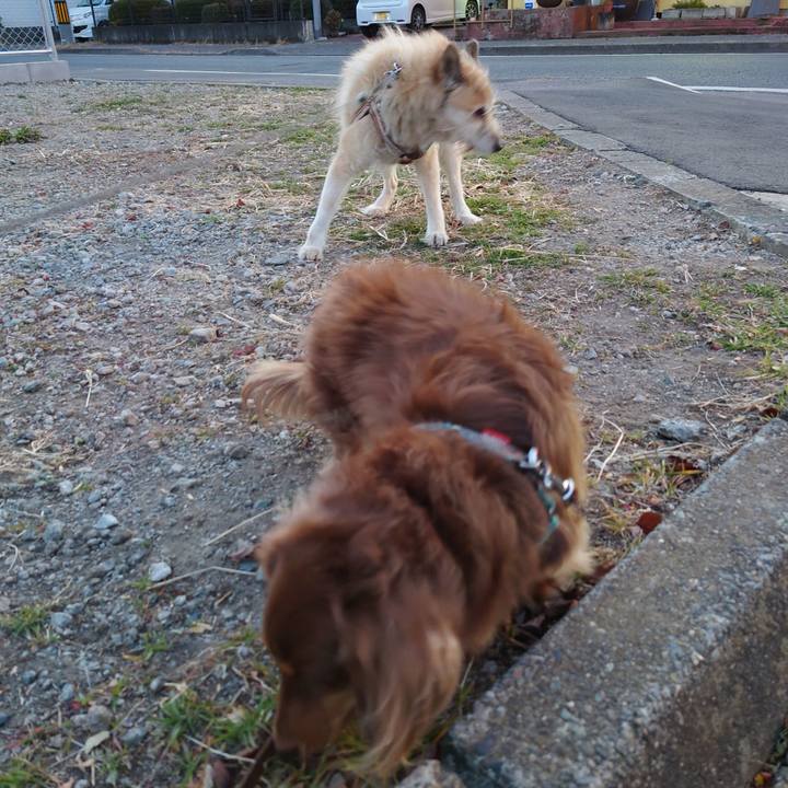 5a77d533 8410 4506 bd05 44b0db0e4bc5 1609143053737