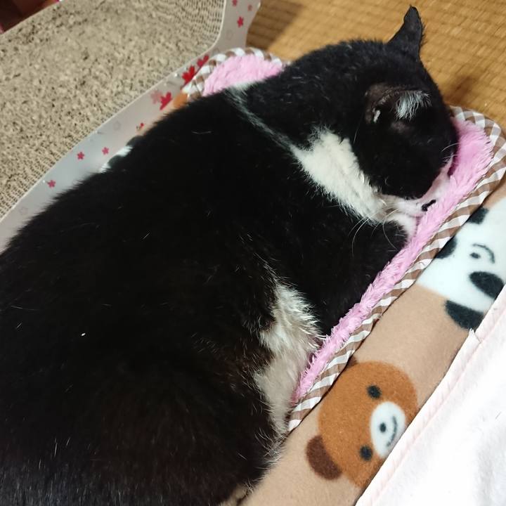 5a7856c2 8d60 4a92 8bdc c706bd99d046 1570454762635