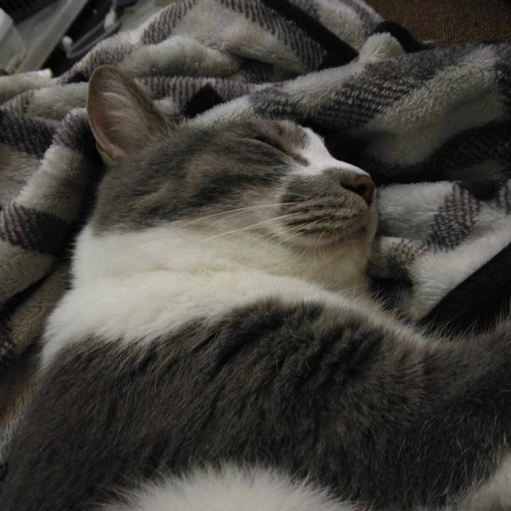 5a785a8e 7333 4984 813a 90f60f75c861 1713012566462