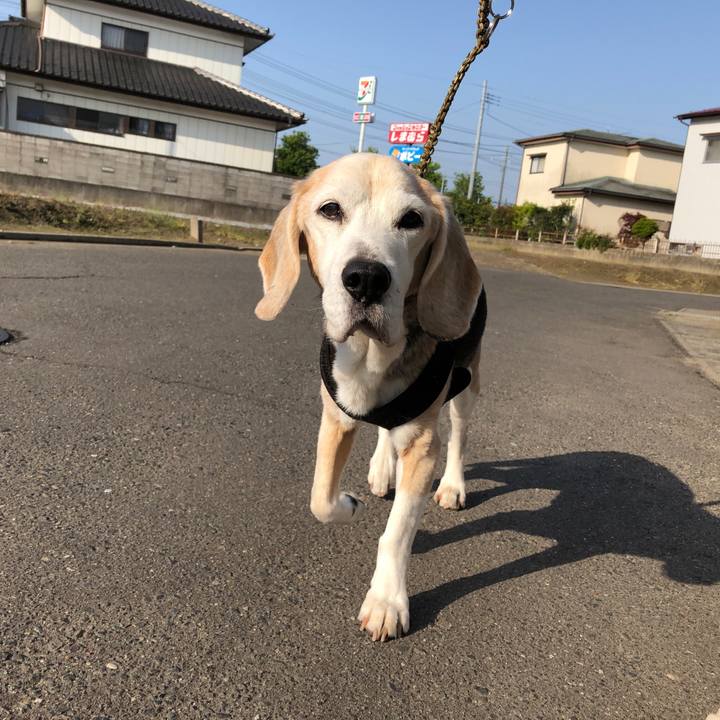 5a788f46 74ae 4c6e be9f b83013b2101a 1620223308290