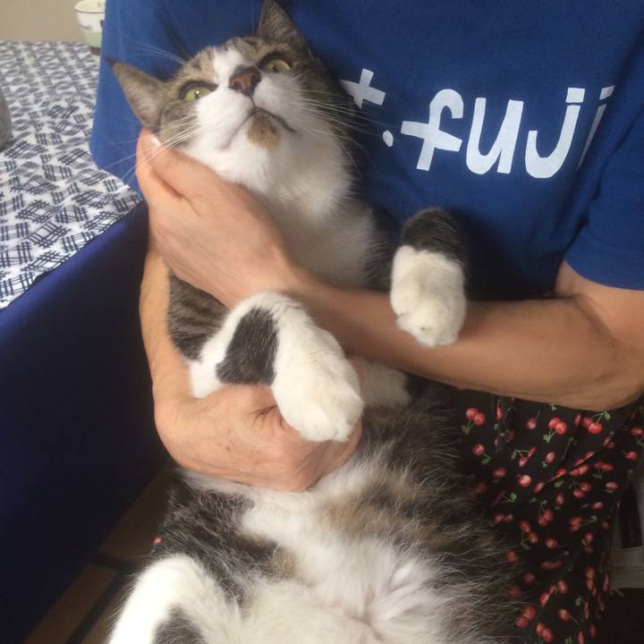 5a78b378 0e97 413b 9726 5e24bd40df7f 1536040490505