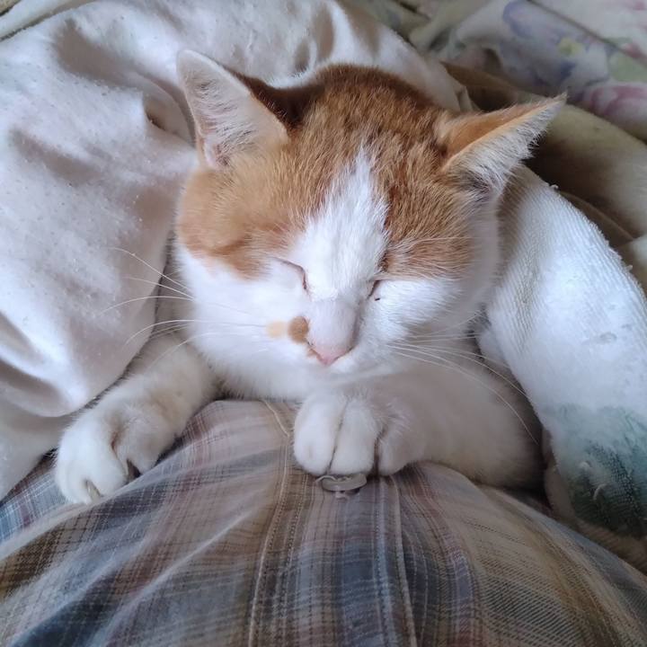 5a790945 bfcf 4e66 941a 44baa610763a 1761968496895