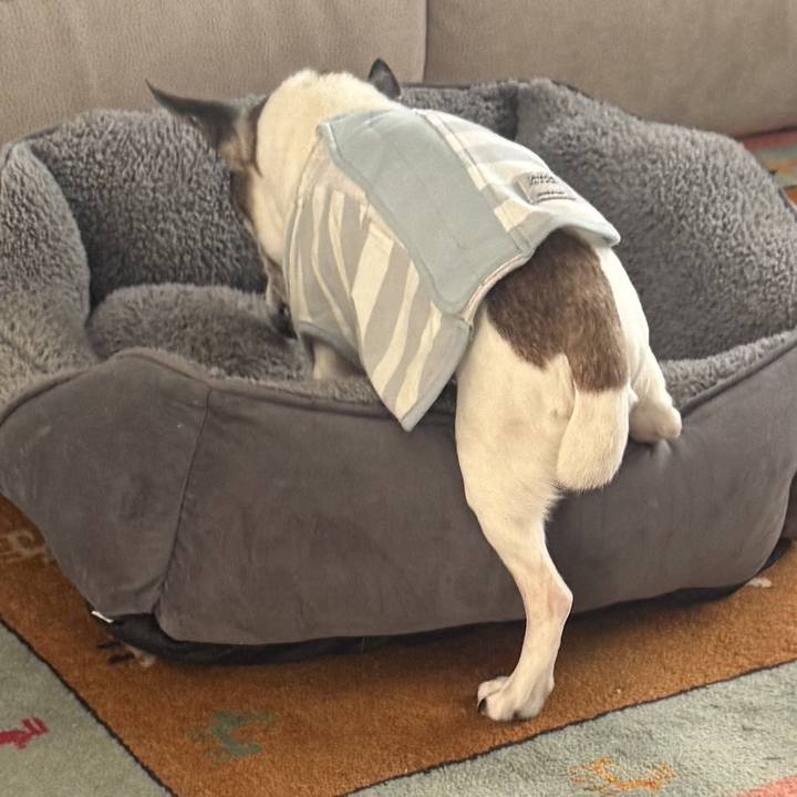 5a793001 2929 4a82 84c1 da87cb6a3c98 1765309321527