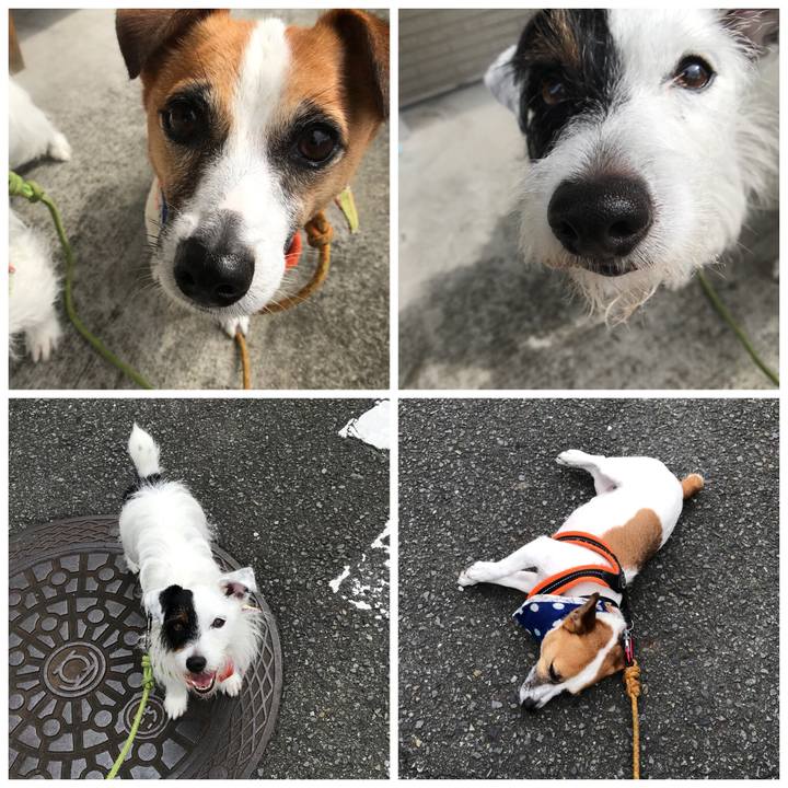 5a79968e 3331 4864 b23f 83e67e47c854 1530749664092