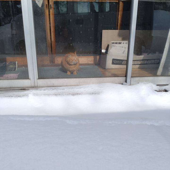 5a79a186 8399 4614 8273 bcff212555c6 1675216856925