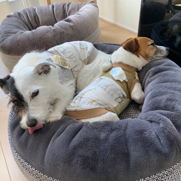 5a79c015 ae18 4109 a83a db1140821058 1592974721780