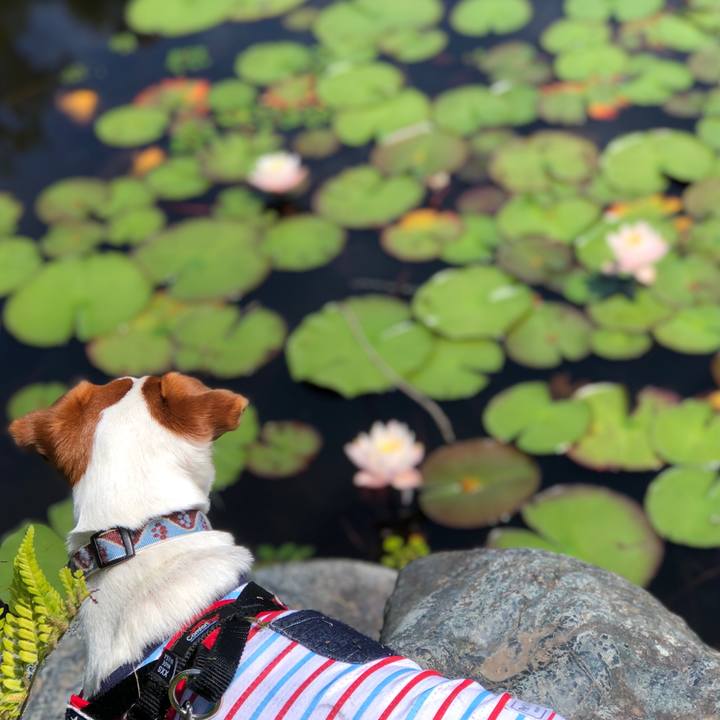 5a79c545 4387 4221 96ea 5e641d18f802 1622544839617