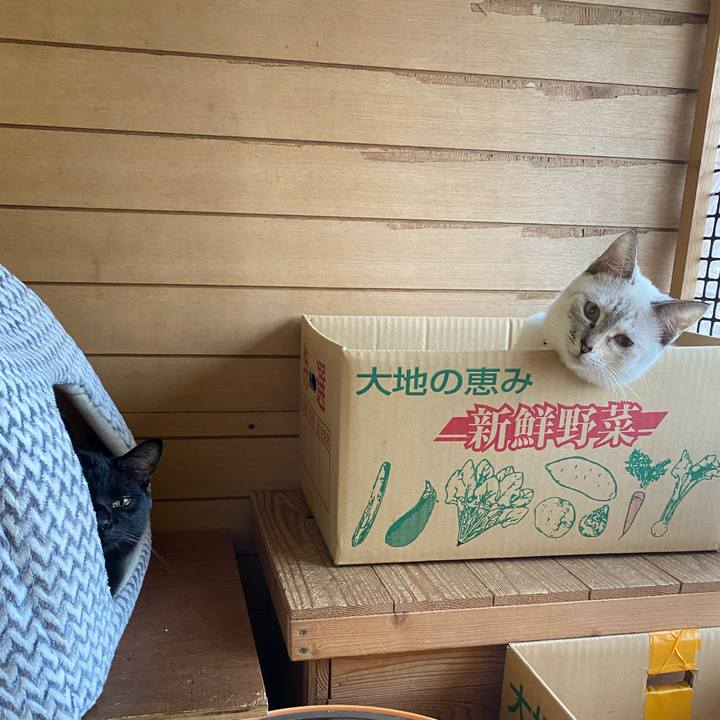 5a79dd39 7f7a 4ff7 8112 be9469039d2b 1638320041124