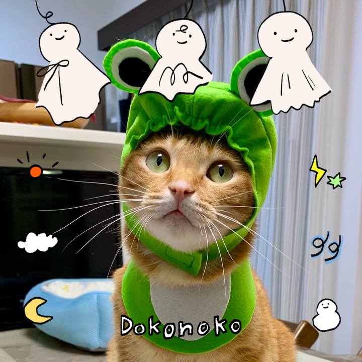 5a7a192b f45f 441e b627 8e1f263a864e 1749415728645