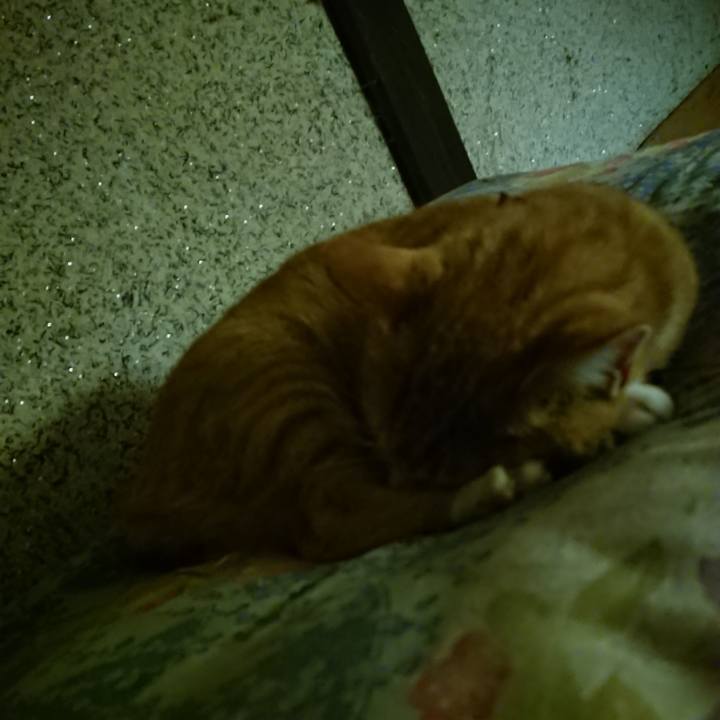 5a7a27a6 556f 42c8 bbb9 c92461ea92a1 1602504301148