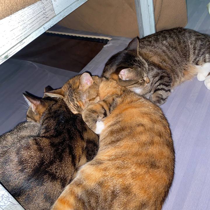 5a7a287a 3380 49f6 b363 a4050ef79e53 1607866082951