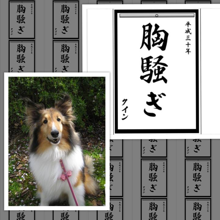 5a7a3e0e ea9b 43cd b557 19573625684f 1515161338459