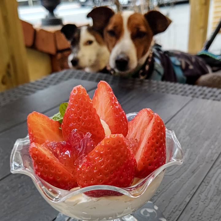 5a7a416c 4ed5 4b9e a68b 699f60d3f831 1645346722135