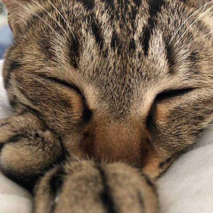 5a7a4de0 d670 42b7 9817 c66a675f3832 1524272646171