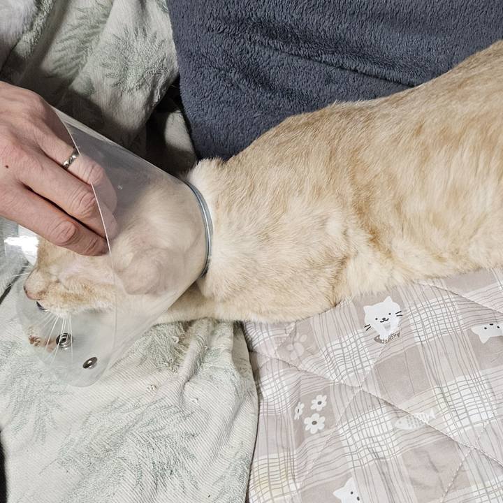 5a7a5850 bda0 4a18 913c a874a41839b7 1762344547181