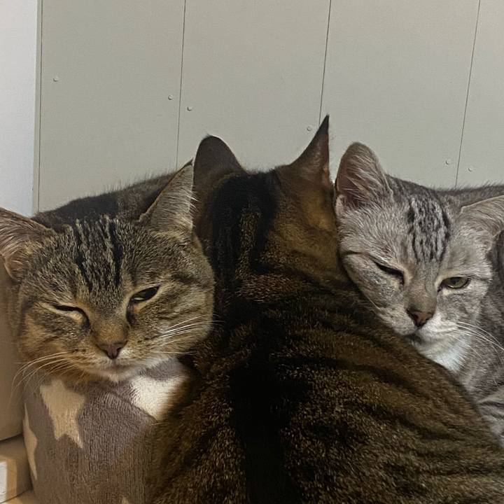 5a7a8bf5 aaa5 4a6a aa65 5e8f0a0a55a4 1712413133630