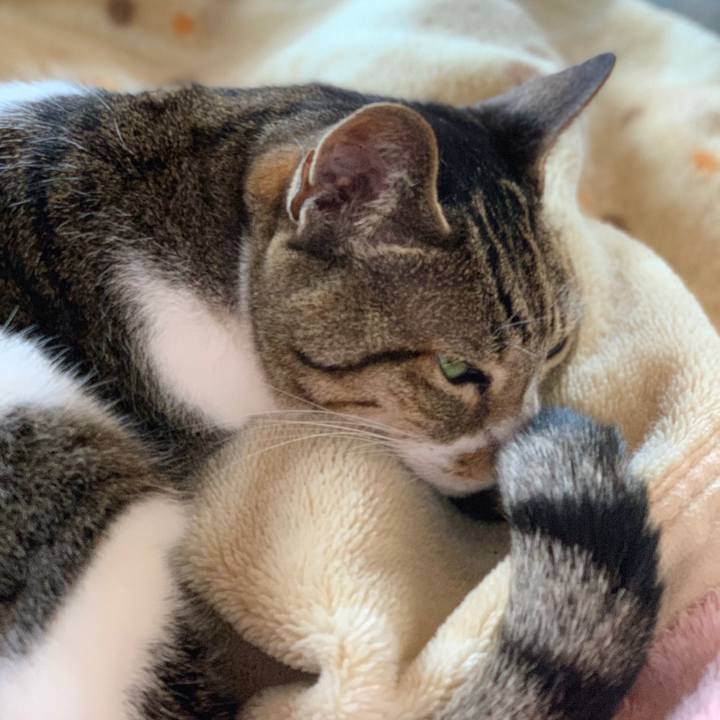 5a7aabdf 10fb 4968 9d4c 1730cded96b4 1583111216617