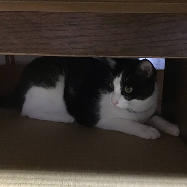 5a7ab7a5 2ad7 4b22 a47f 126a44ccb835 1663672484801