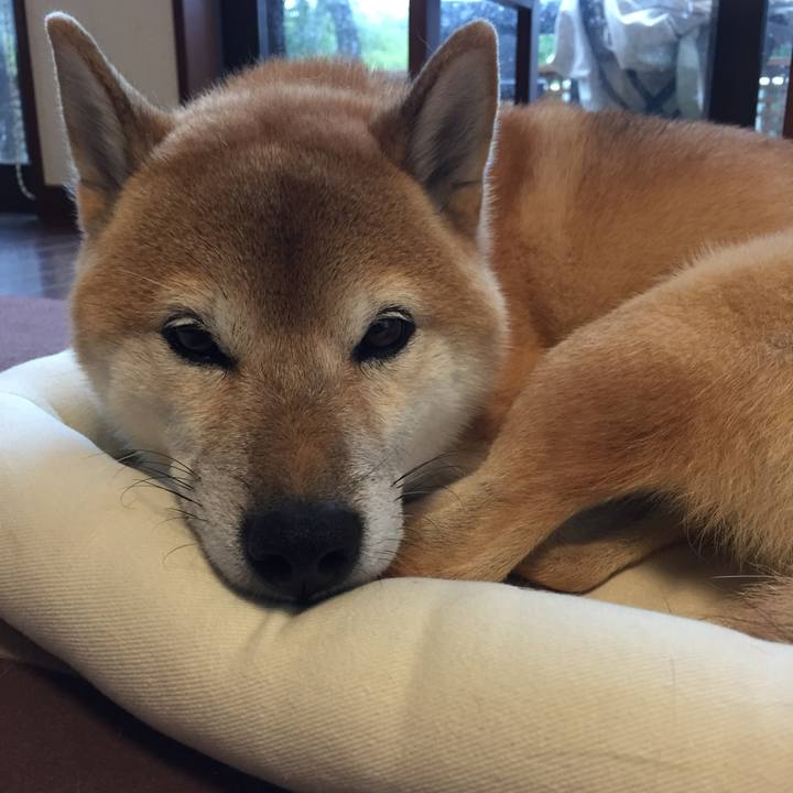 5a7ae822 50ae 4ace 8a7a 918c3f882003 1508651941595