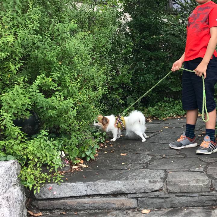 5a7b0422 fce7 4201 a96a 18d35d8b9478 1566715556121