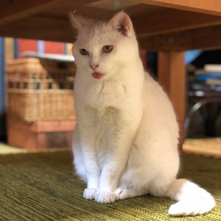 5a7b1aa6 0aac 4582 9e49 273d11953f6a 1566901781180