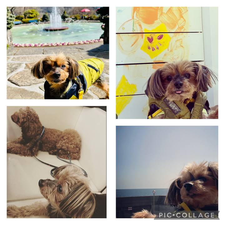 5a7b1ce4 2511 44d2 8b39 fbf35a65a3d8 1678580601192