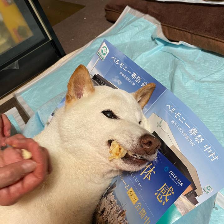 5a7b4f0f efcb 478e a544 80eade112d89 1653665789676