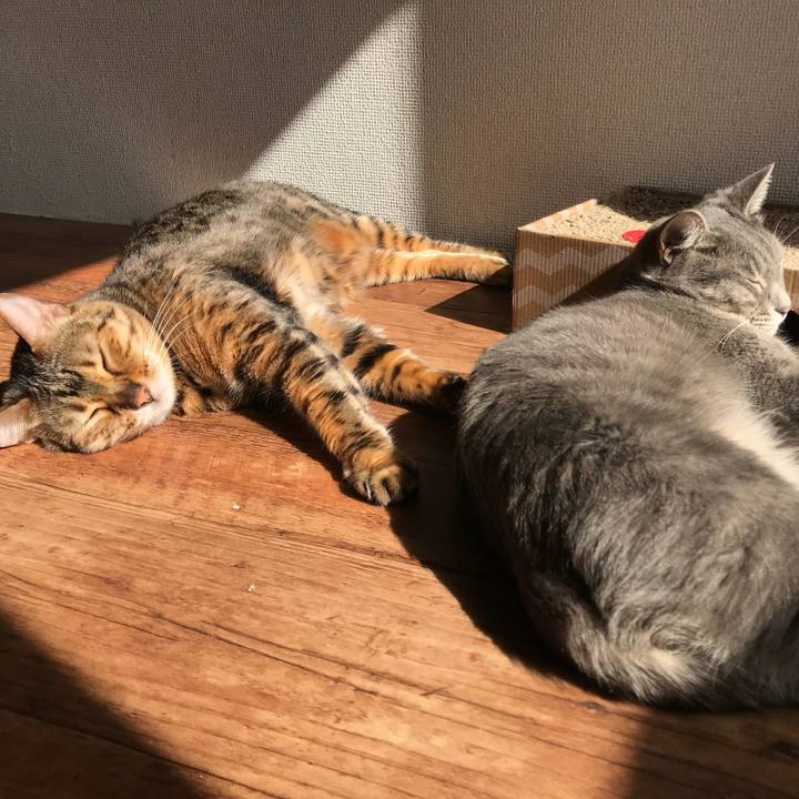 5a7b5432 6350 48e3 86e5 6b0186059e52 1540953400125