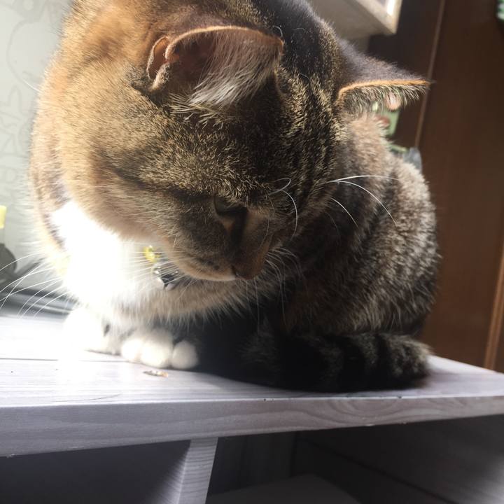 5a7b7d24 070f 49bd 9731 95b705afc1f1 1549508297774