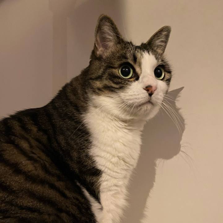 5a7bf0f5 2c46 40cd b467 f7f92ff80603 1744034921036