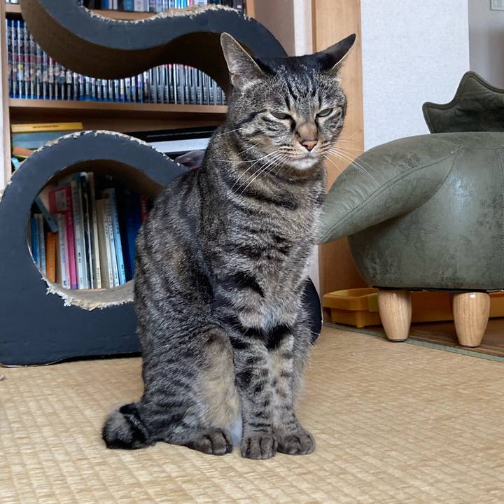 5a7c03a9 2044 48c8 a12f 4eaee3a0ff03 1655012378612